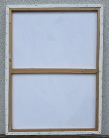 ZEBRA - PRUHY V POHYBU - NEZNÁMÝ AUTOR