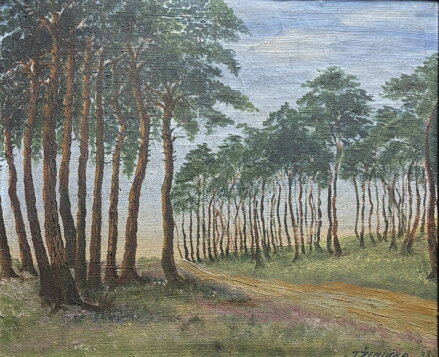 BOROVÝ HÁJ - ŽEMLIČKA J.