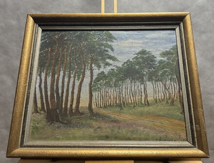 BOROVÝ HÁJ - ŽEMLIČKA J.