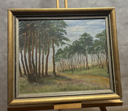 BOROVÝ HÁJ - ŽEMLIČKA J.