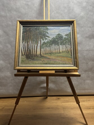 BOROVÝ HÁJ - ŽEMLIČKA J.