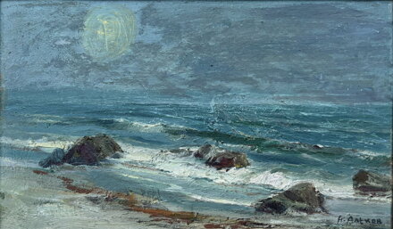 VLNY U POBŘEŽÍ - ALEKOV NAPOLEON