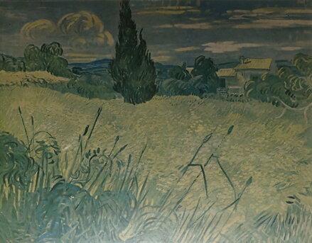 ZELENÉ PŠENIČNÉ POLE S CYPŘIŠEM - REPRODUKCE - VAN GOGH VINCENT WILLEM