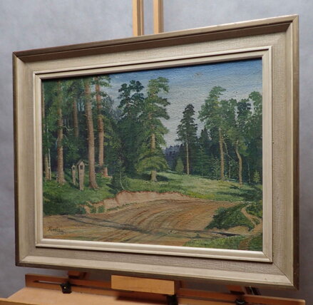 CESTA U LESA - AUGUSTA KAREL
