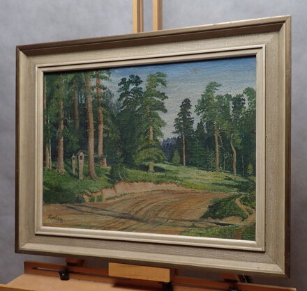 CESTA U LESA - AUGUSTA KAREL