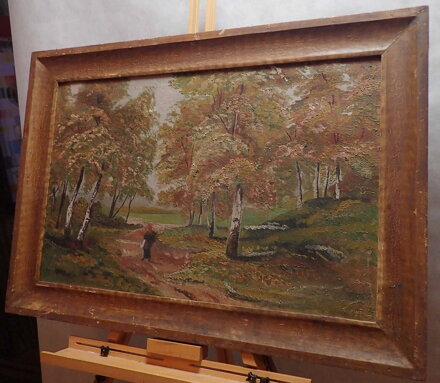 BABKA V PODZIMNÍM BŘEZOVÉM HÁJI - NEZNÁMÝ AUTOR