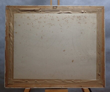 BAREVNÉ CHRYZANTÉMY - SIGNOVÁN