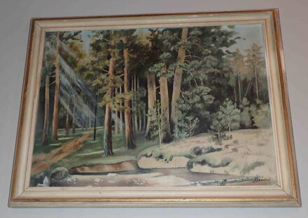 PROSLUNĚNÝ LES - BENEŠOVÁ