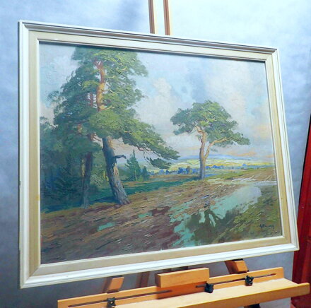 KALUŽE U BOROVIC - BERGHAUER /HORYNA/ BOHUMIL