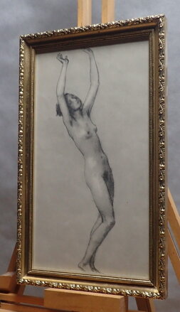 AKT DÍVKY - BOETTINGER HUGO