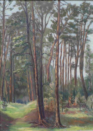 BOROVICE - BOHMAN HANUŠ