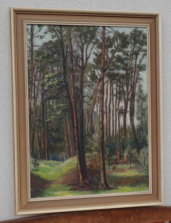 BOROVICE - BOHMAN HANUŠ