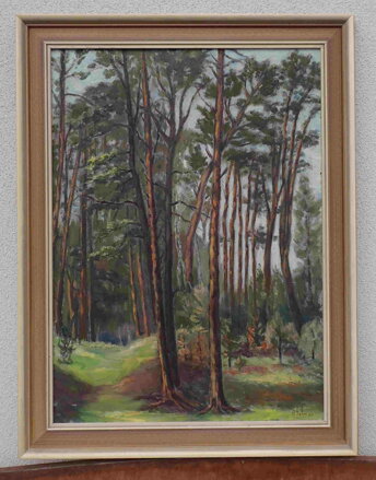 BOROVICE - BOHMAN HANUŠ