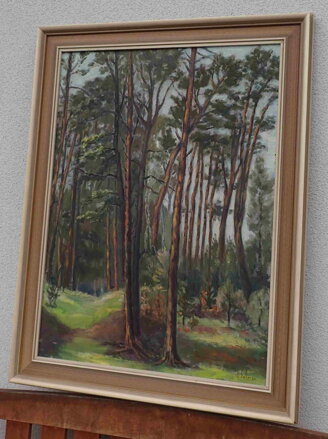 BOROVICE - BOHMAN HANUŠ