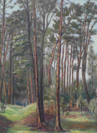 BOROVICE - BOHMAN HANUŠ