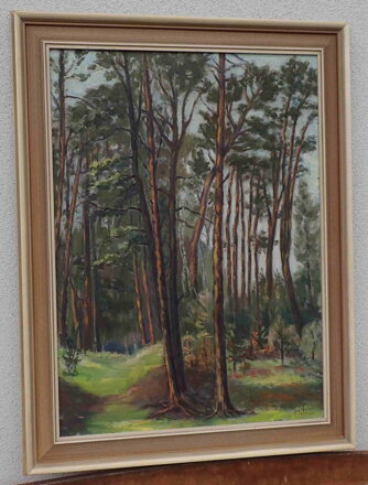 BOROVICE - BOHMAN HANUŠ