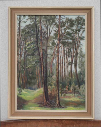 BOROVICE - BOHMAN HANUŠ