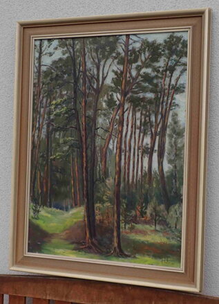 BOROVICE - BOHMAN HANUŠ
