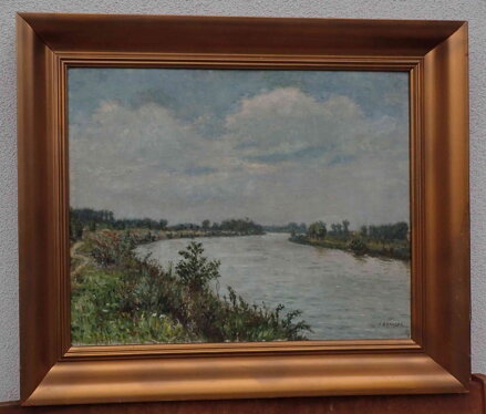 LABSKÁ ZÁTOČINA - BOHMAN HANUŠ