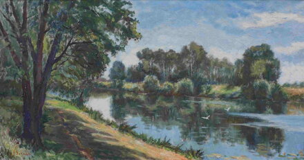 LÉTO U LABE - BOHMAN HANUŠ