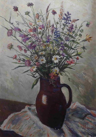 LUČNÍ KVÍTÍ - BOHMAN HANUŠ