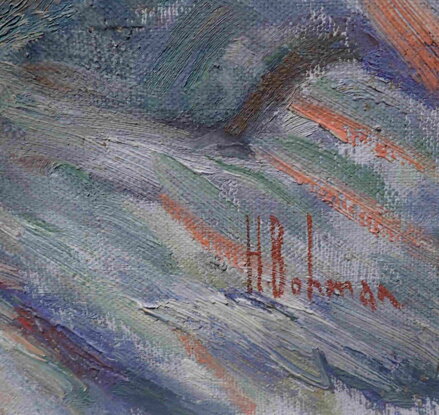LUČNÍ KVÍTÍ - BOHMAN HANUŠ