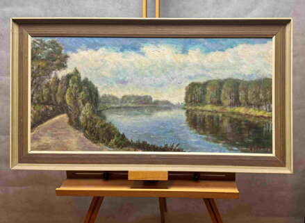 MEANDRUJÍCÍ LABE - BOHMAN HANUŠ