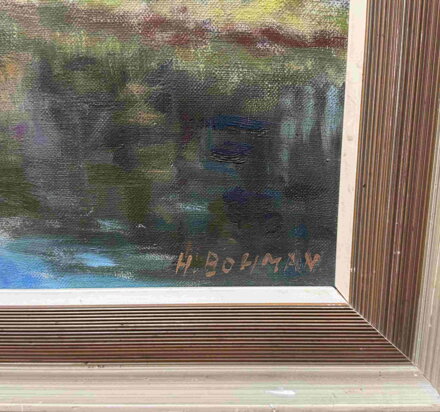 MEANDRUJÍCÍ LABE - BOHMAN HANUŠ