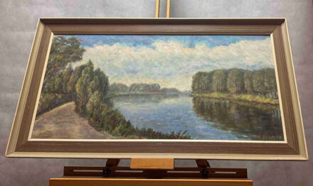 MEANDRUJÍCÍ LABE - BOHMAN HANUŠ