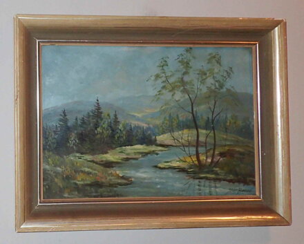 MEANDRUJÍCÍ ŘEKA - BOREK J. K.