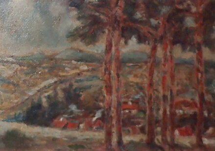 BOROVICE NA STRÁNI NAD VSÍ - NEZNÁMÝ AUTOR