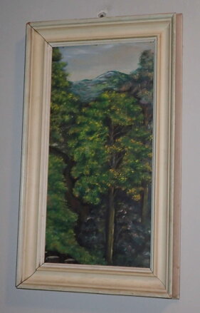 BOROVICE POD HORAMI - NEZNÁMÝ AUTOR