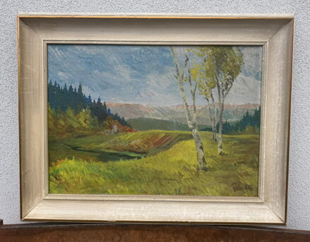 BŘÍZY NA SVAHU U ŘEKY - SIGNOVÁN