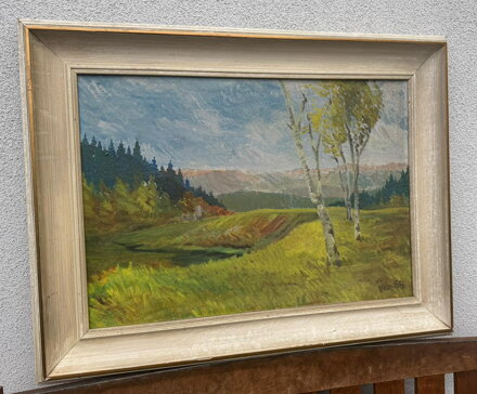 BŘÍZY NA SVAHU U ŘEKY - SIGNOVÁN