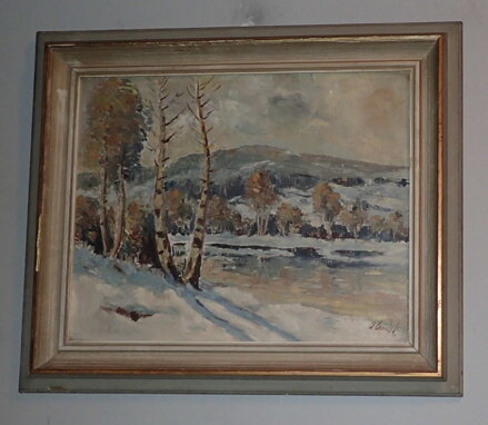 ZIMA U ŘEKY - CAPOUŠEK J.