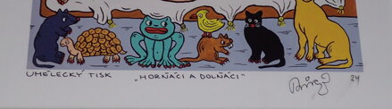HORŇÁCI A DOLŇÁCI - ČECH FRANTIŠEK RINGO