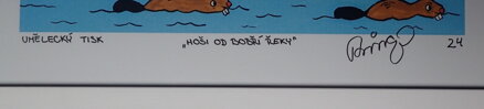 HOŠI OD BOBŘÍ ŘEKY I. - ČECH FRANTIŠEK RINGO