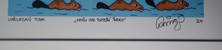 HOŠI OD BOBŘÍ ŘEKY II. - ČECH FRANTIŠEK RINGO
