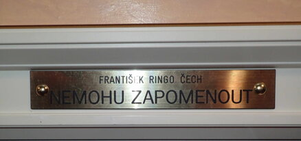 NEMOHU ZAPOMENOUT - OLEJ - ČECH RINGO FRANTIŠEK