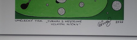 TURNAJ S NESTEJNĚ VELKÝMI MÍČKY - ČECH FRANTIŠEK RINGO