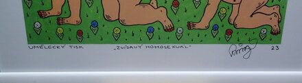 ZVÍDAVÝ HOMOSEXUÁL - ČECH FRANTIŠEK RINGO