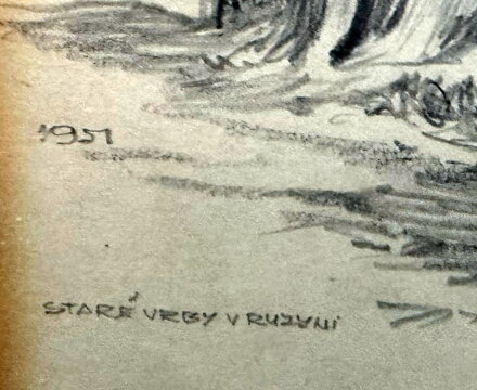 STARÉ VRBY V RUZYNI - ČERNÝ PAVEL