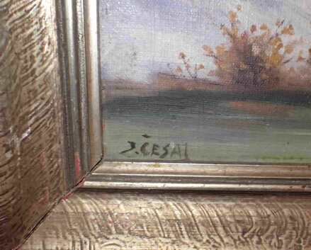 ZIMA V KRAJINĚ - ČESAL JAN