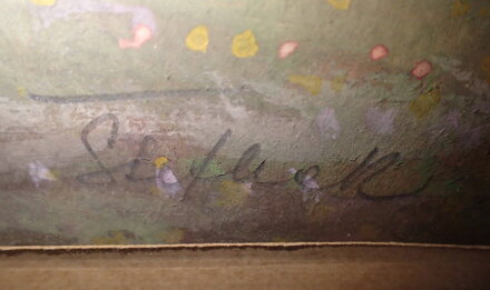 CESTA LETNÍ KRAJINOU - SIGNOVÁN