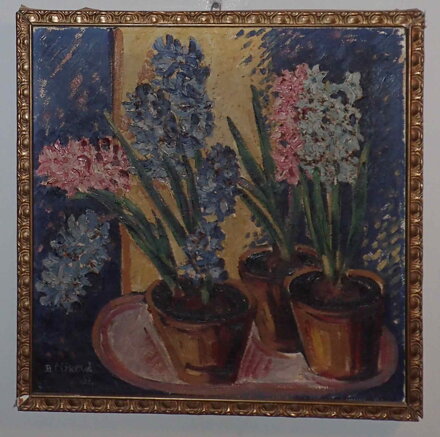 BAREVNÉ HYACINTY - ČÍŽKOVÁ DAGMAR