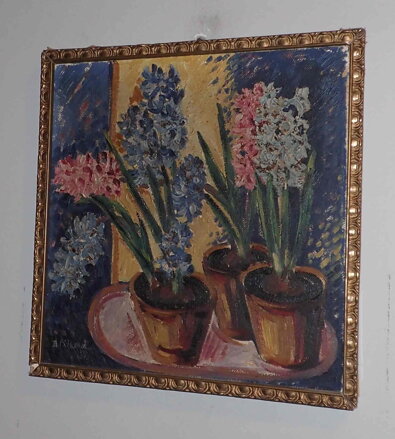 BAREVNÉ HYACINTY - ČÍŽKOVÁ DAGMAR