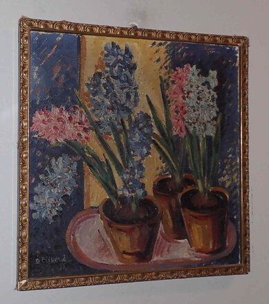 BAREVNÉ HYACINTY - ČÍŽKOVÁ DAGMAR