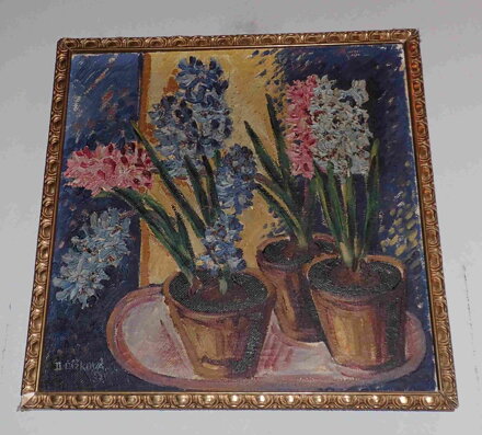 BAREVNÉ HYACINTY - ČÍŽKOVÁ DAGMAR