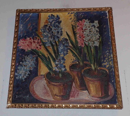 BAREVNÉ HYACINTY - ČÍŽKOVÁ DAGMAR