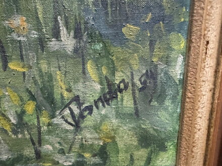 STROMY U ŘEKY - DANDA J.